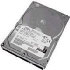 Ibm DS4200 500GB SATA EV-DDM (42D0389)