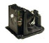 Optoma H79 Replacement Lamp (SP.L3703.001) Optoma H79 Replacement Lamp (SP.L3703.001)