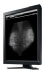 Eizo GS520 (GS520CL-P)