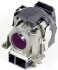 Microlamp ML10631