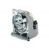 APOG-9608