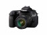 Canon EOS 60D + EF-S 18-55 IS (4460B040AA)