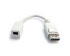 Startech.com DP/Mini DP Adapter (DP2MDPMF6IN) Startech.com DP/Mini DP Adapter (DP2MDPMF6IN)