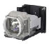 APOG-9770