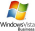Microsoft Windows Vista Business, GOV, SA, OLP, NL, w/VisEnter (66J-01039) Microsoft Windows Vista Business, GOV, SA, OLP, NL, w/VisEnter (66J-01039)