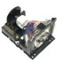APOG-9648