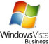 Microsoft Windows Vista Business, UPG, OLP, NL, SPA (66J-00747) Microsoft Windows Vista Business, UPG, OLP, NL, SPA (66J-00747)