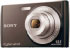 Sony DSC-W510 (DSC-W510B)