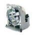 Viewsonic Replacement Lamp - 250W (VS10422)