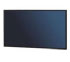 Nec MultiSync P551 (60003026) Nec MultiSync P551 (60003026)