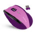 Soyntec R520 (775262)