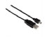 V7 USB Cable 1.8m A/Mini-B (V7E2USBAMIB-1.8M) V7 USB Cable 1.8m A/Mini-B (V7E2USBAMIB-1.8M)