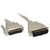 Intronics Printer cable, DB 25 M - Centronics 36 M, 5.0m (AK1032)