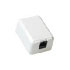 Intronics CAT6 UTP Wall mount (FA1003)
