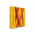 Symantec Backup Exec 2010, Agent f/ Microsoft Active Directory v13.0, Bundle Standard LIC GOV-S, ML (20056549)