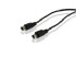 Conceptronic S-Video Cable (C31-251)