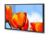 Nec X461S (60003056) Nec X461S (60003056)