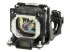 Microlamp ML10981