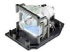 Microlamp ML11977