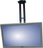 Newstar Soporte de techo LCD/LED/Plasma (PLASMA-C100BLACK)