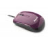 Ngs Purple Flavour (PURPLEFLAVOURMOUSE) Ngs Purple Flavour (PURPLEFLAVOURMOUSE)