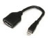 Startech.com Adaptador de Cable de Video Mini DisplayPort a DisplayPort de 6 pulgadas - M/H (MDP2DPMF6IN)