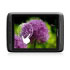 Archos Arnova 8 G2, 8GB (501835) Archos Arnova 8 G2, 8GB (501835)