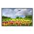 Nec X462HB (60003174) Nec X462HB (60003174)