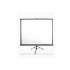 Elite screens T119NWS1 Elite screens T119NWS1