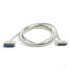 Startech.com 10 ft. 36-conductor IEEE-1284 Printer Cable A-B  (PMC10_1284)