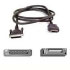 Belkin Cable par IEEE1284 DB25>C36 1.8m Retail (F2A045-06) Belkin Cable par IEEE1284 DB25>C36 1.8m Retail (F2A045-06)