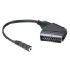 Hama Adapter Scart plug - 3.5 mm stereo jack (00043404)