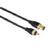 Hama IEEE 1394 connection cable AV plug, 4 pin. - plug, 6pin., 1 m (00046708)