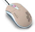 Dicota Blossom (Z17708Z) Dicota Blossom (Z17708Z)