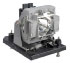 Sanyo POA-LMP117 (610-335-8406) Sanyo POA-LMP117 (610-335-8406)