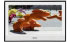 Sony KDL-40E4000AEP Sony KDL-40E4000AEP
