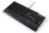 Lenovo Business Black Preferred Pro USB Fingerprint Keyboard - Swiss (French/German) (73P4761)