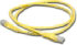 Microconnect Cat6 UTP - 0.5M LSZH (UTP6005Y) Microconnect Cat6 UTP - 0.5M LSZH (UTP6005Y)
