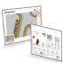 Soyntec Sticker netbook Laptatoos 123 (773695) Soyntec Sticker netbook Laptatoos 123 (773695)