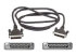 Belkin PRO Series Non-IEEE 1284 Parallel Switchbox Cable - parallel extender - 7.6 m (F3D111B25)