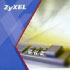 Zyxel iCard Silver 1-year AV-IDP (91-995-004002G)