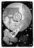 Seagate DB35 7200.2 160GB Ultra ATA 100 (ST3160212ACE) Seagate DB35 7200.2 160GB Ultra ATA 100 (ST3160212ACE)