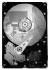 Seagate DB35 7200.2 120GB SATA 3Gb/s (ST3120213SCE) Seagate DB35 7200.2 120GB SATA 3Gb/s (ST3120213SCE)