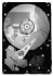 Seagate DB35 7200.3 500GB SATA 3Gb/s (ST3500830SCE) Seagate DB35 7200.3 500GB SATA 3Gb/s (ST3500830SCE)