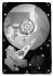 Seagate DB35 7200.2 80GB Ultra ATA 100 (ST3802110ACE) Seagate DB35 7200.2 80GB Ultra ATA 100 (ST3802110ACE)