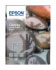 Epson Ultra Glossy Photo Paper 13x18 (C13S042048)