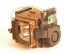 Infocus TD61/SP61md10/SP50md10 Replacement Lamp (SP-LAMP-022) Infocus TD61/SP61md10/SP50md10 Replacement Lamp (SP-LAMP-022)