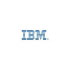 Ibm Director Active Energy Manager x86, V3.1 (License + 1 year subscription) (44W3912)