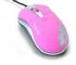 Dicota Blossom (Z17918Z) Dicota Blossom (Z17918Z)
