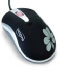 Dicota Blossom (Z17718Z) Dicota Blossom (Z17718Z)